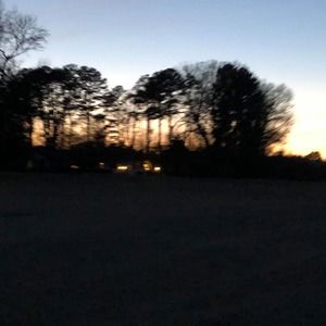 Meet your Posher, Rodriguez